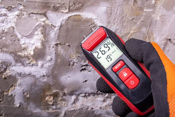 Best Crawl Space Mold Removal  in Sharpsburg, NC