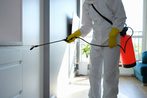 Mold Removal Process in Sharpsburg, NC