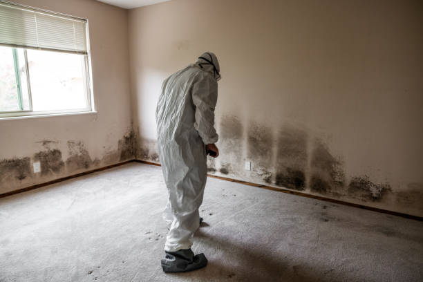 Best Residential Mold Removal  in Sharpsburg, NC