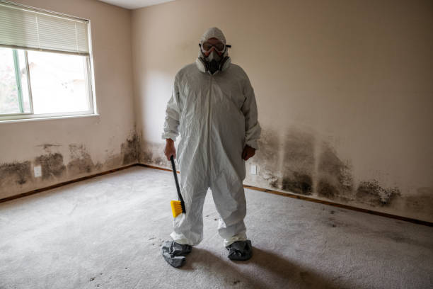 Mold Removal and Inspection in Sharpsburg, NC