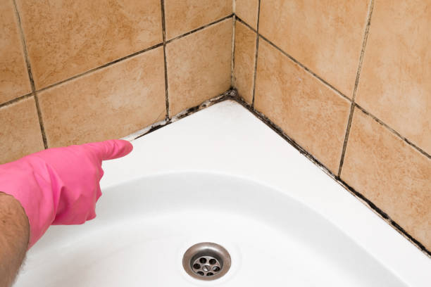 Best Mold Testing  in Sharpsburg, NC